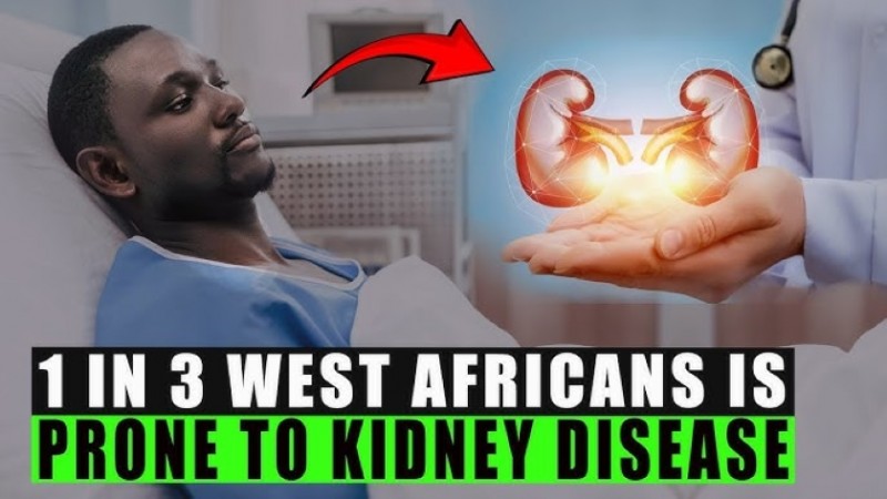 NIH Identifies Genetic Variant Raising Chronic Kidney Disease Risk in West Africa