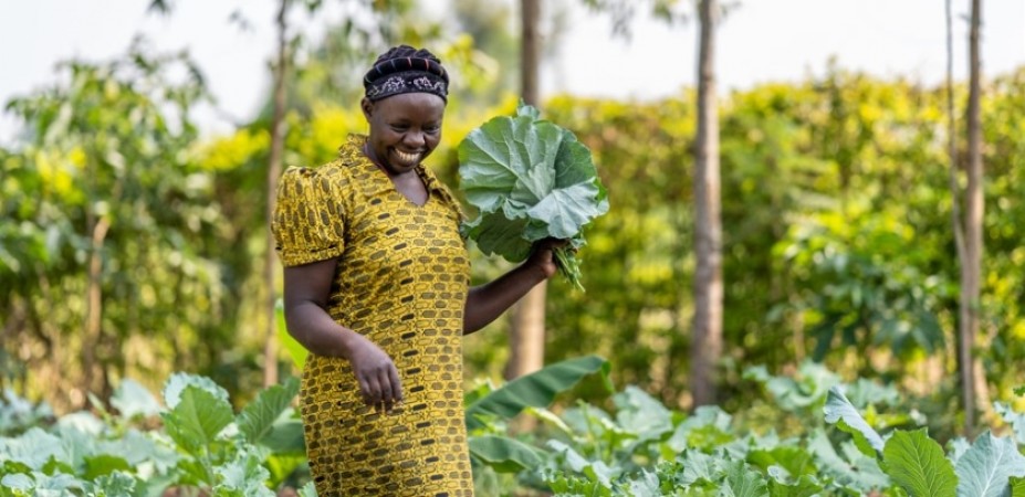 DAAD Launches African-German Centre for Sustainable Food Systems and Agricultural Data Science